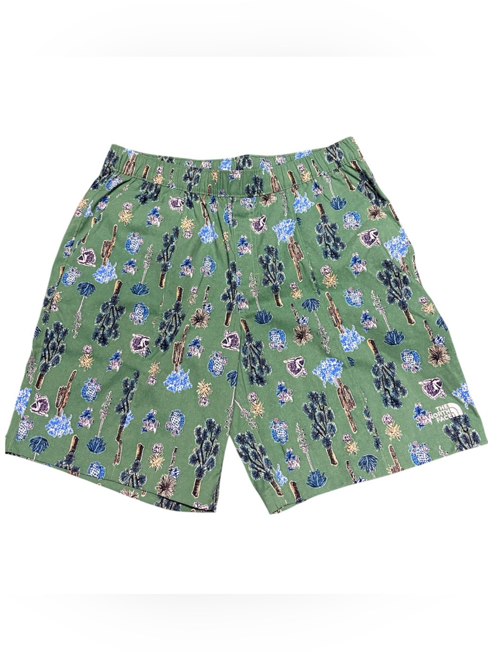 The North Face Class V Pull-On Shorts Cactus Desert Print Green Size M Like New
